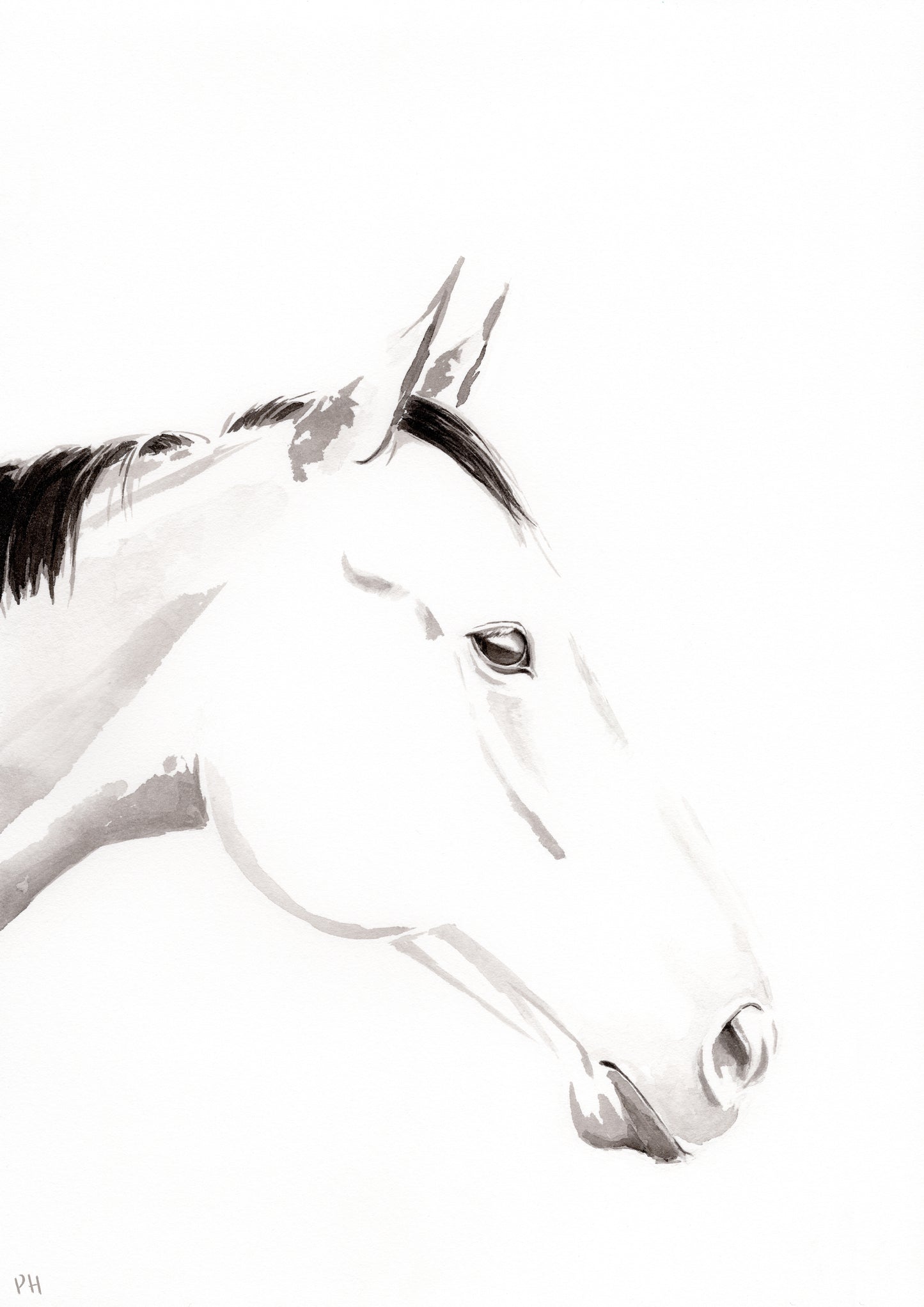 Liberty - Profile