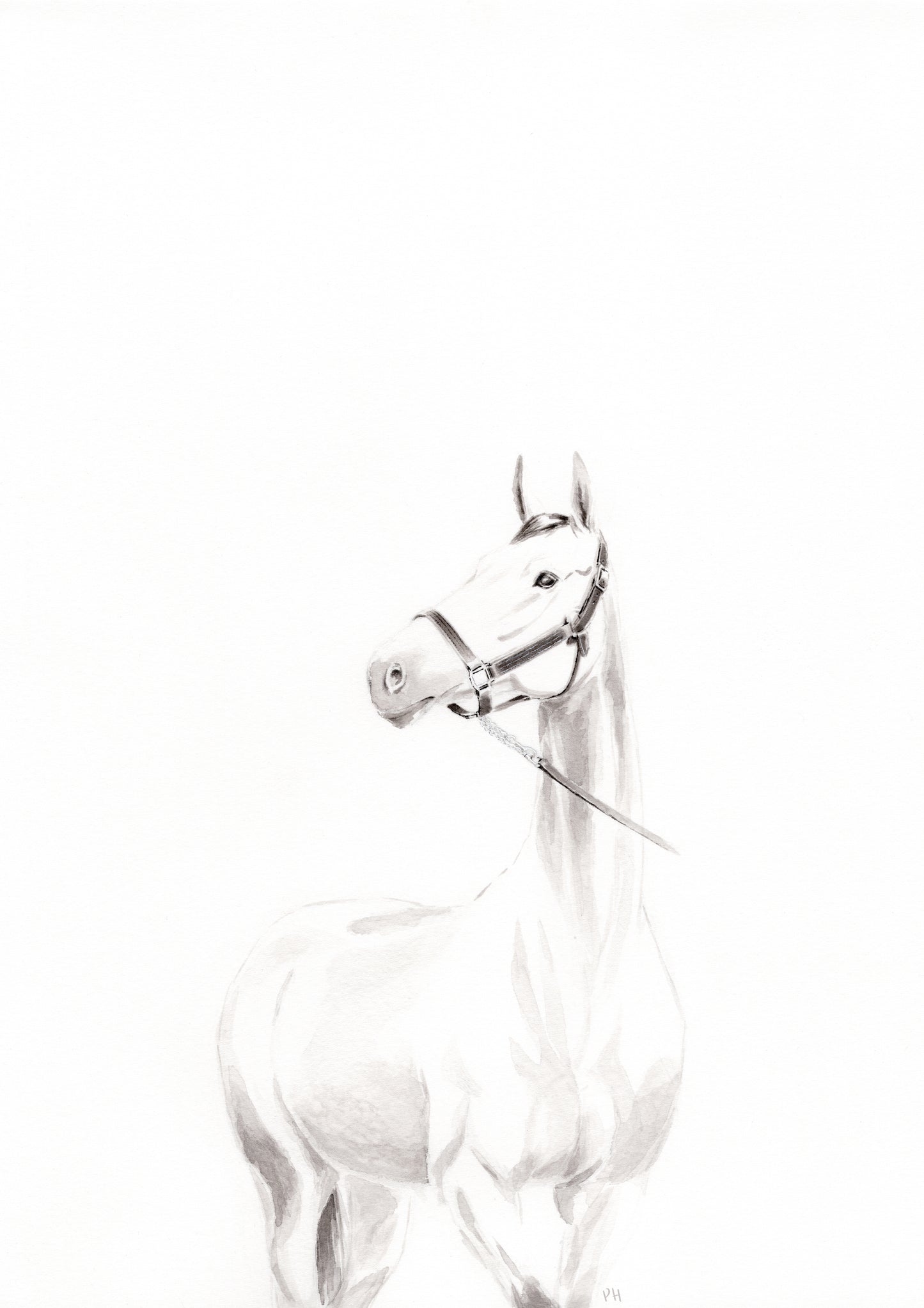Liberty