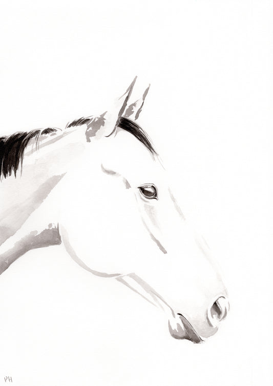 Liberty - Profile