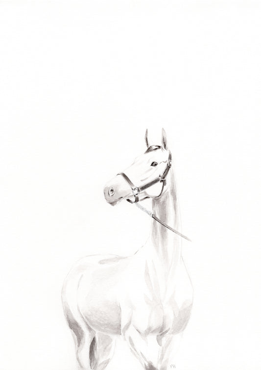 Liberty